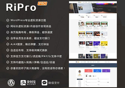 WordPress主题 RiProV4.3.0破解去授权无限制版本