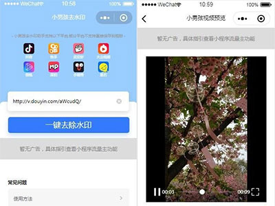抖音去水印小程序源码独立版 无后台