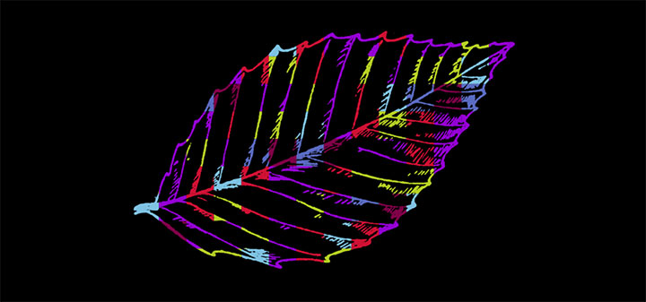 CSS3 SVG彩色叶子发光变色动画特效