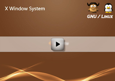 3.1 X Window System